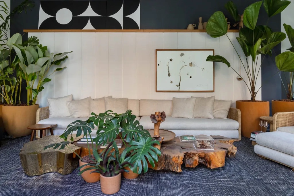 Rega das plantas: 5 dicas para evitar excessos ou escassez