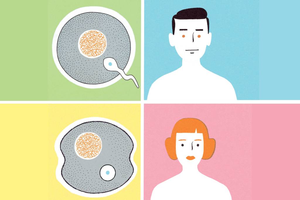 Educação em sexualidade: como abordar o tema nas salas de aula (e em casa)