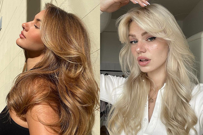 Cortes inspirados em animais: wolf, butterfly, octopus e jellyfish