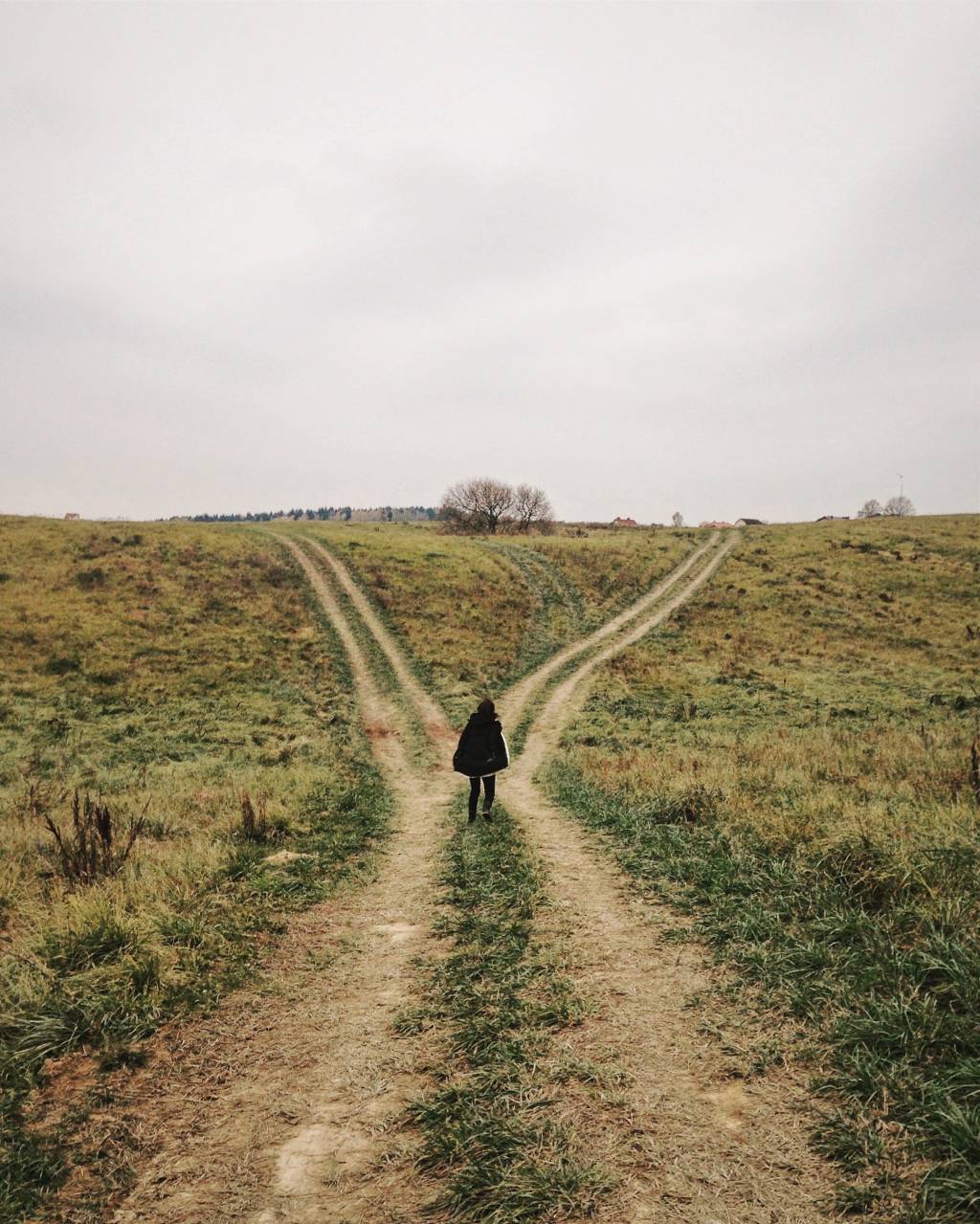 Qual é o caminho do meio?