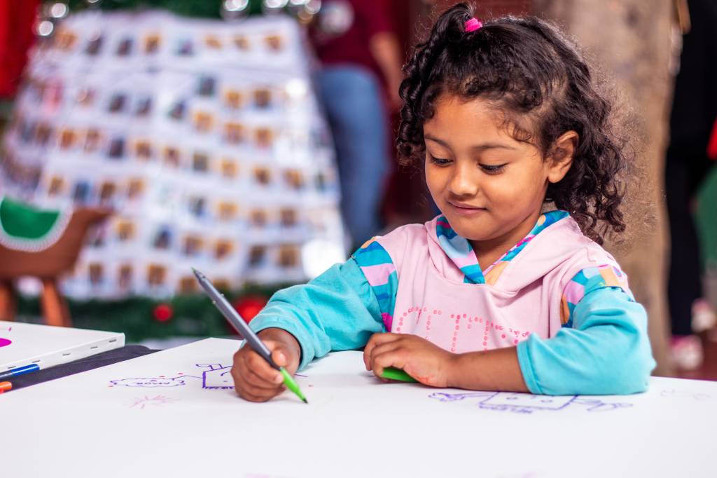 Promovendo a autoestima através de doação de materiais escolares, livros e acompanhamento dessas crianças, a FAH prioriza a educação em projetos de diversas ONG's