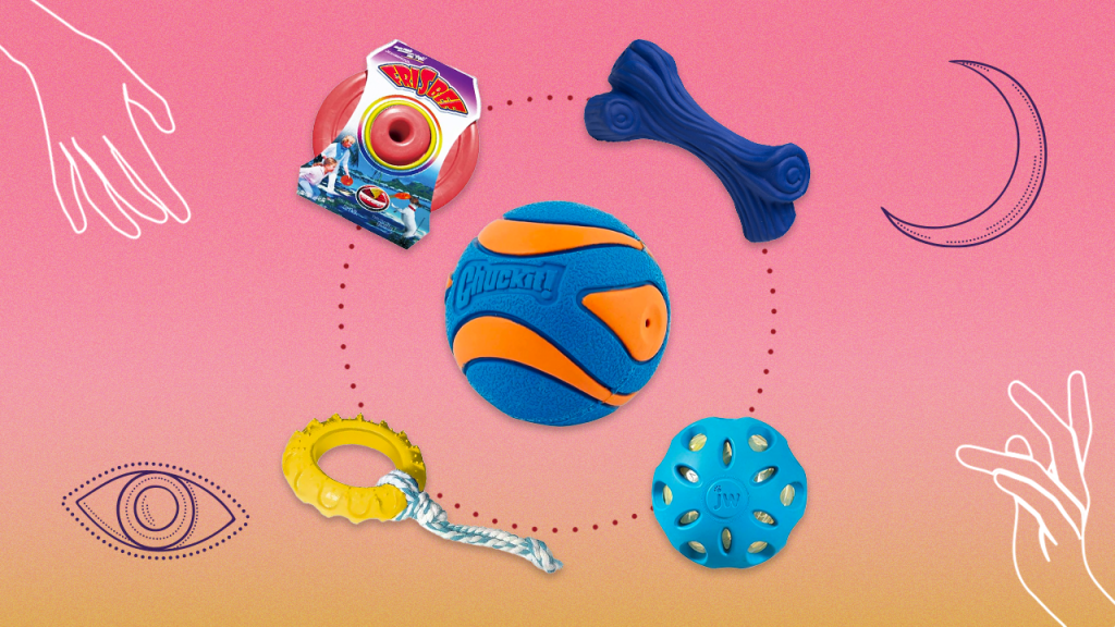 Black Friday: Brinquedos para cães com desconto