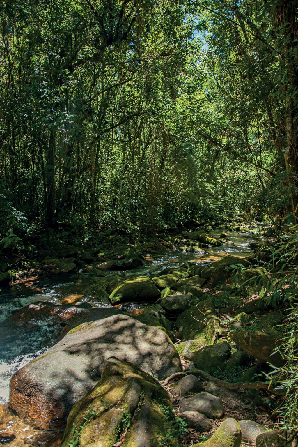 Cachoeira em Visconde de Mauá, Rio de Janeiro Cachoeira em Visconde de Mauá, Rio de Janeiro