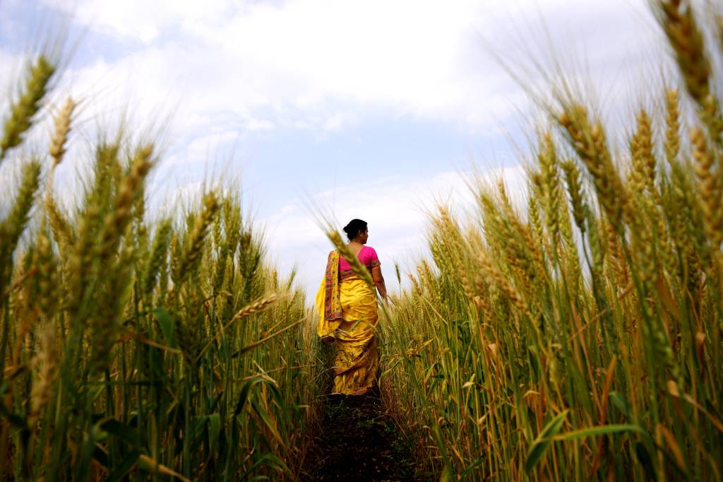 Viajar para a Índia todos os dias: lições de autoconhecimento e plenitude