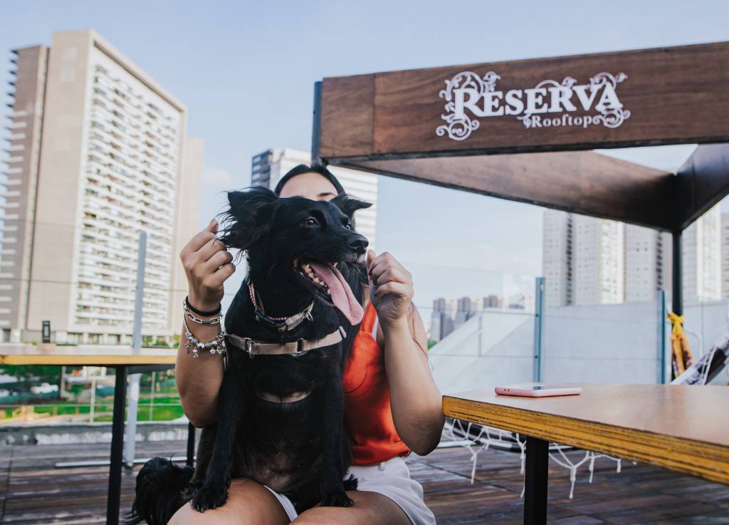 Pets podem acompanhar seus tutores no Reserva Rooftop