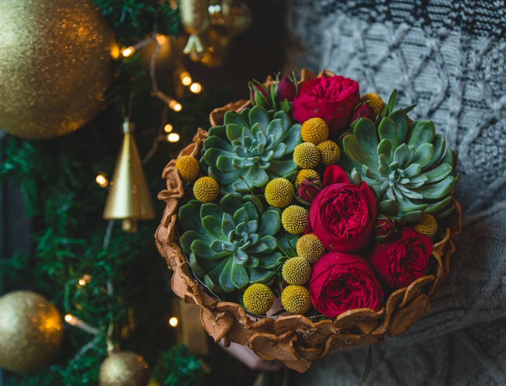 5 plantas e flores que irão deixar a sua casa festiva para o Natal