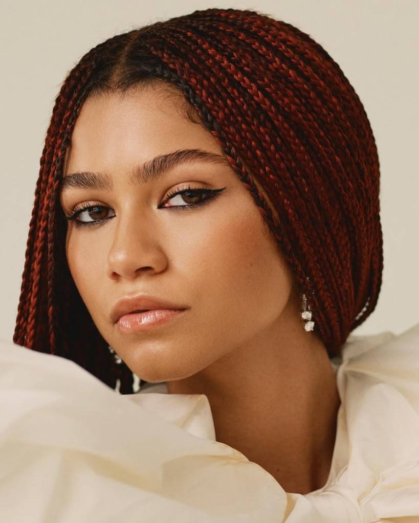 Box braids: 10 famosas que usaram o modelo de tranças para se inspirar