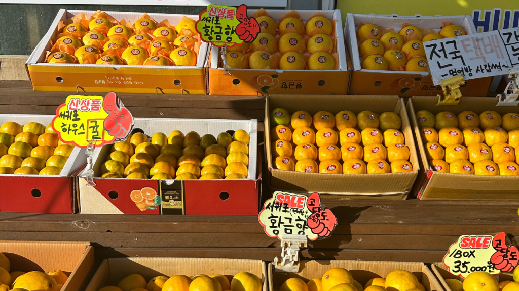 jeju-1 Foto de um mercado vendendo tangerinas