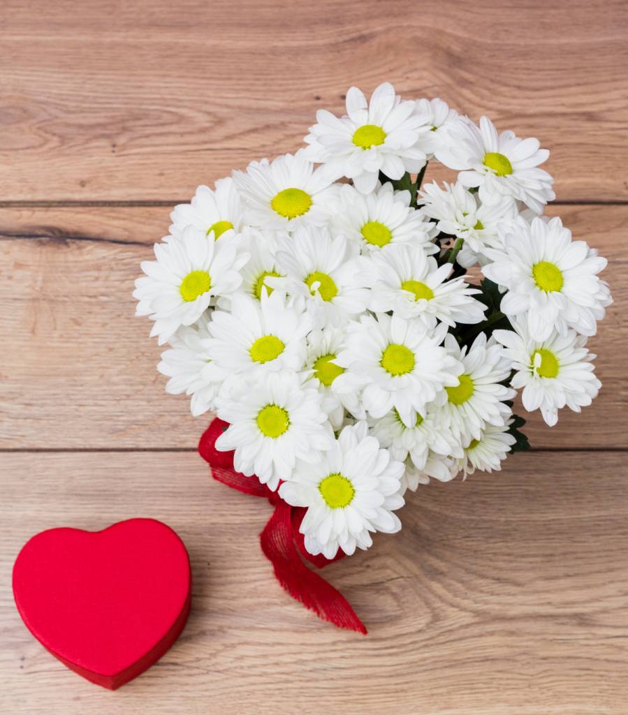 melhores-flores-dia-das-maes-margarida Margaridas são presente delicado para o Dia das Mães