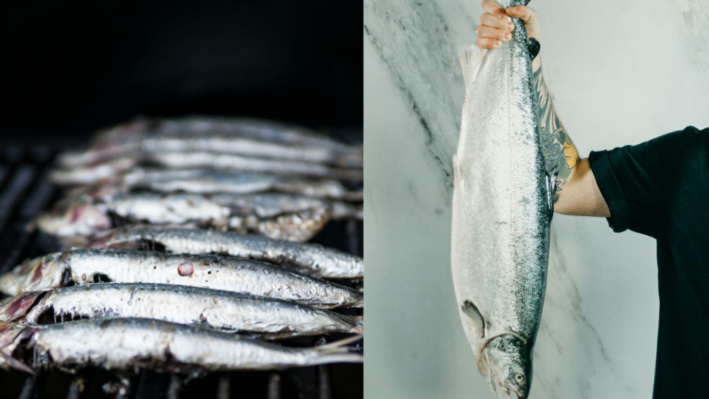Uma alimentação rica em peixes vai ajudar na sua saúde cardiovascular