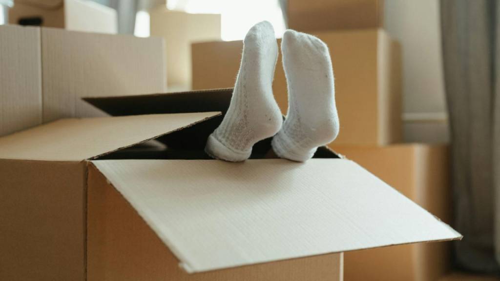 9 passos para organizar sua mudança de casa sem perder a cabeça