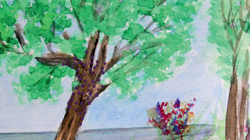 Com câncer e a estimativa de 2 anos de vida, ele viveu o amor intensamente