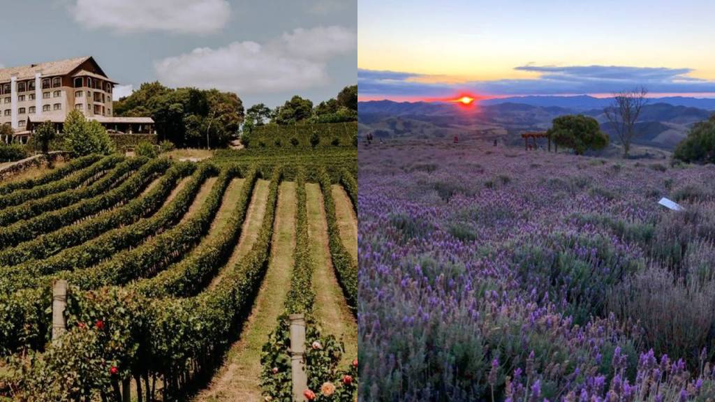 5 cidades parecidas com Gramado para curtir o inverno gastando menos