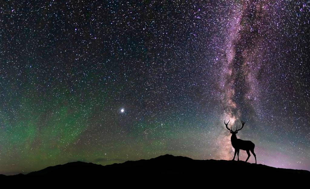 Lua do Veado: o que o fenômeno ativa em cada signo do zodíaco