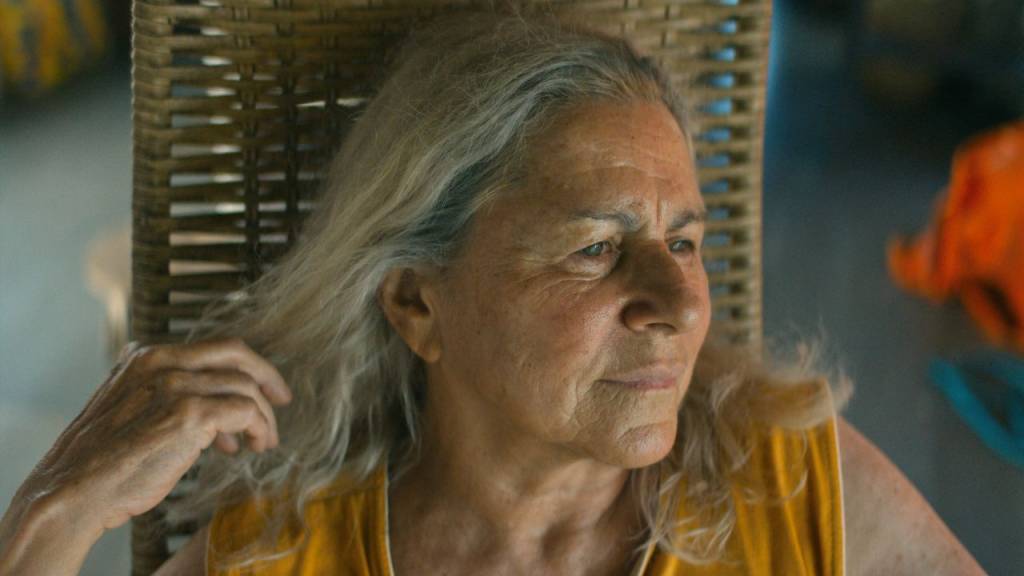 O Último Azul Em um Brasil distópico, o governo transfere idosos a uma colônia habitacional para que ali passem seus últimos anos de vida e não preocupem os filhos a ponto de impedir sua rotina produtiva. Acontece que, quem vai para lá, nunca mais é visto. Com medo do futuro, Tereza, que já passou dos 70 anos, se recusa a perder a autonomia e embarca em uma jornada pelos rios da Amazônia em busca de realizar seu sonho: viajar de avião.