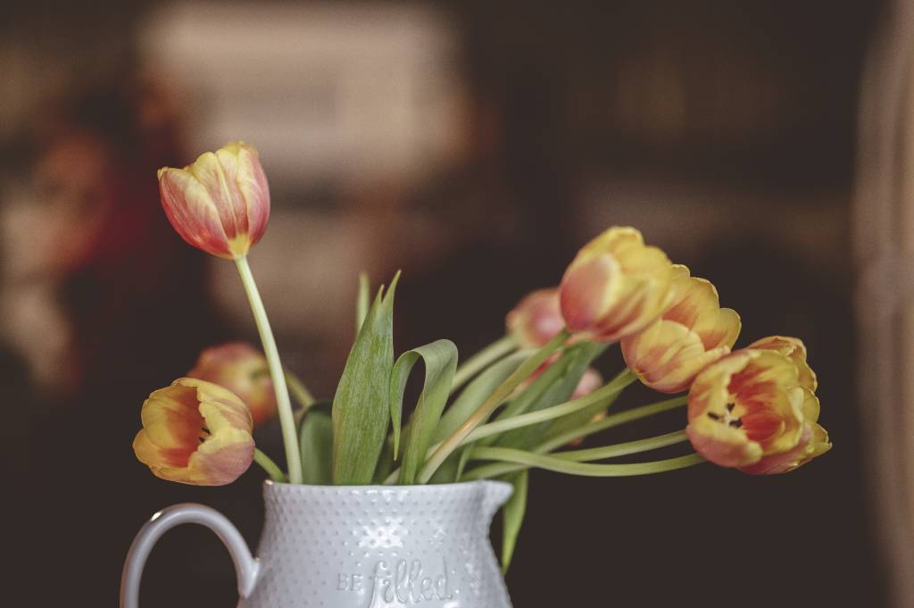 As melhores flores para decorar sua casa na primavera