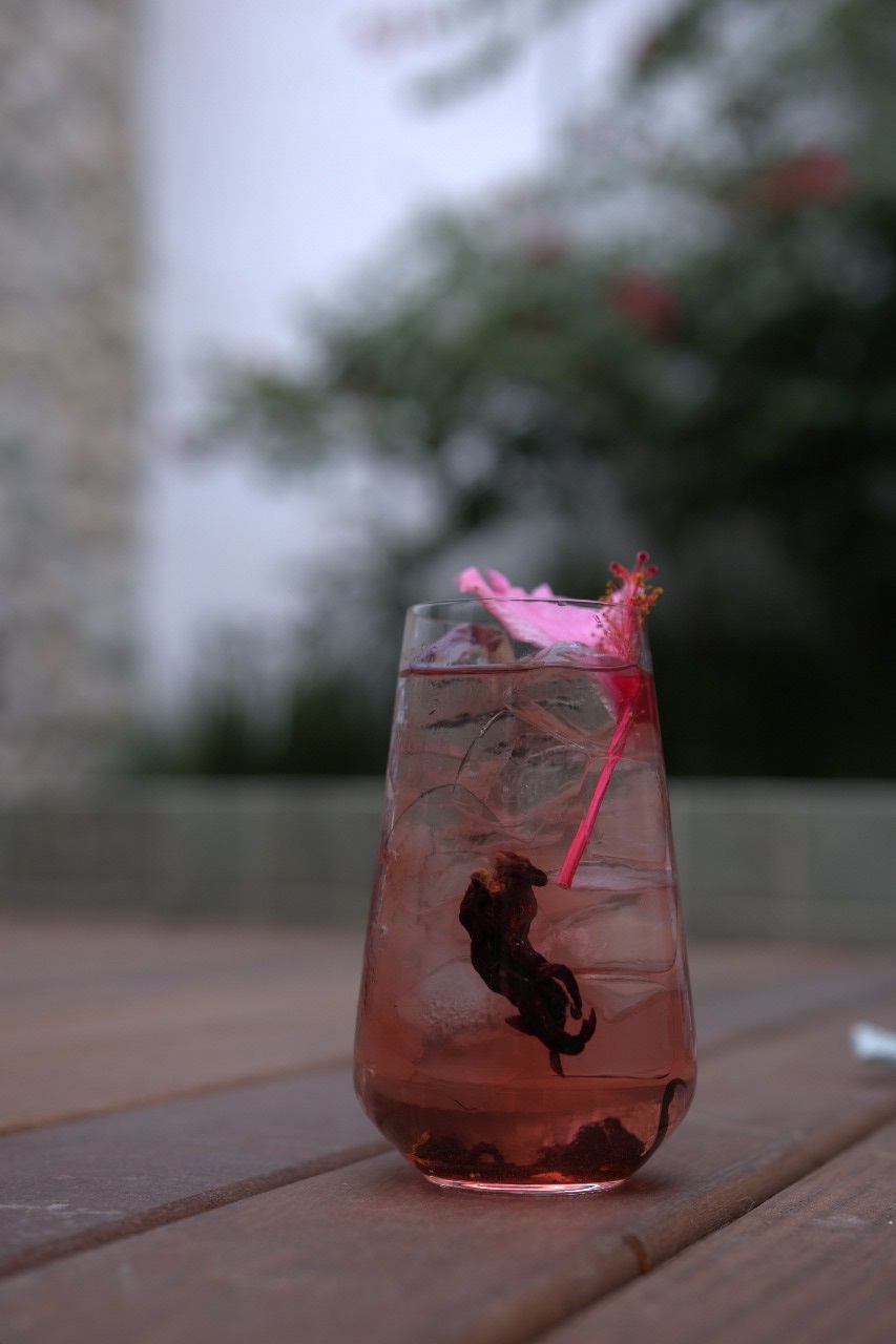 Como fazer drink em casa