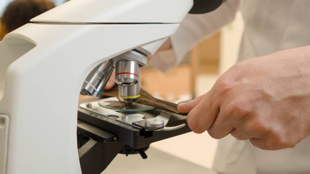 O ingrediente é resultado de uma pesquisa nas águas doces do Cerrado brasileiro, onde foi encontrada uma microalga com componentes eficazes para cuidados com os cabelos, garantindo até 95% de proteção da cor e 33% de resistência dos fios. 