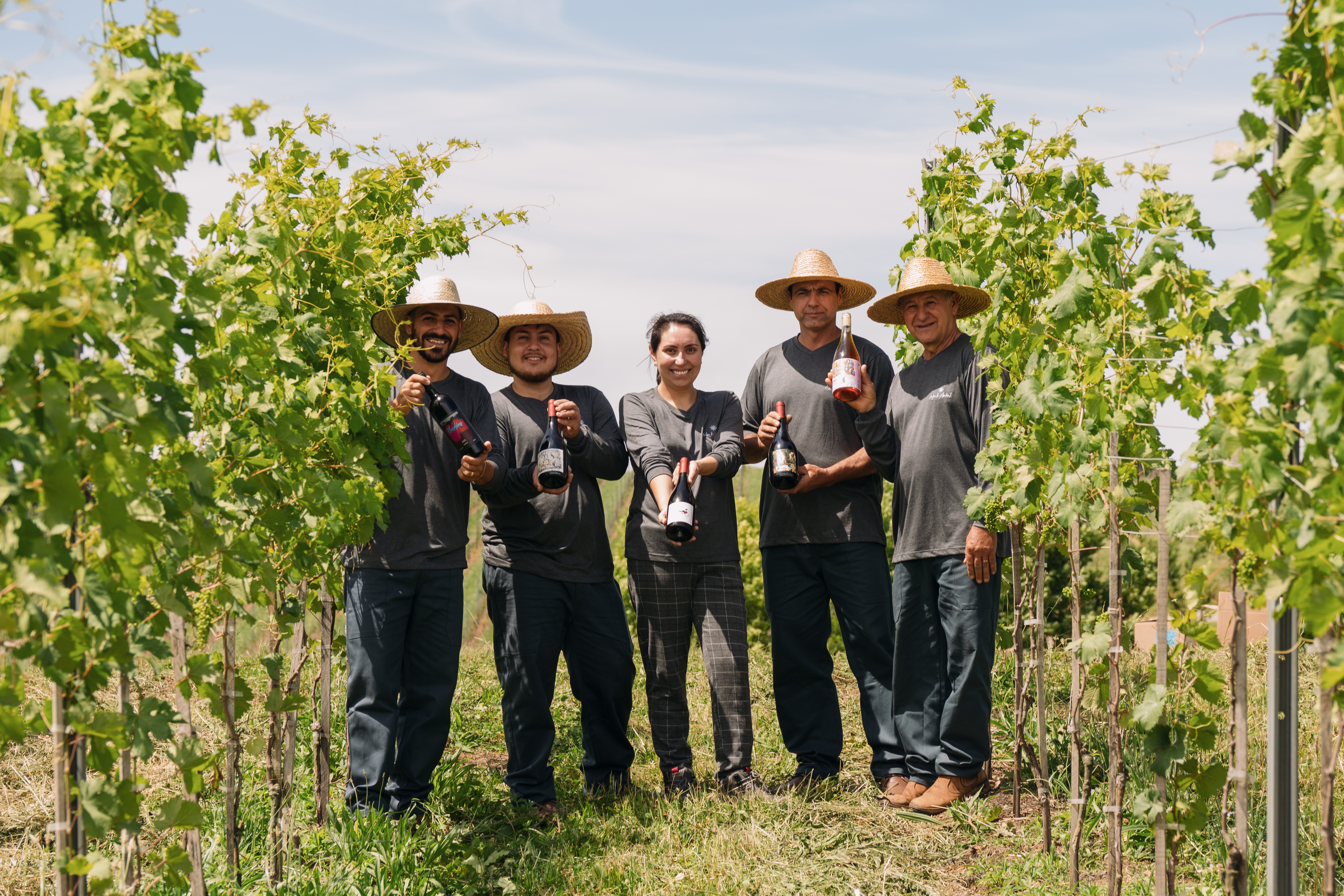 A vin&iacute;cola do sul que faz vinhos alinhados aos ciclos lunares