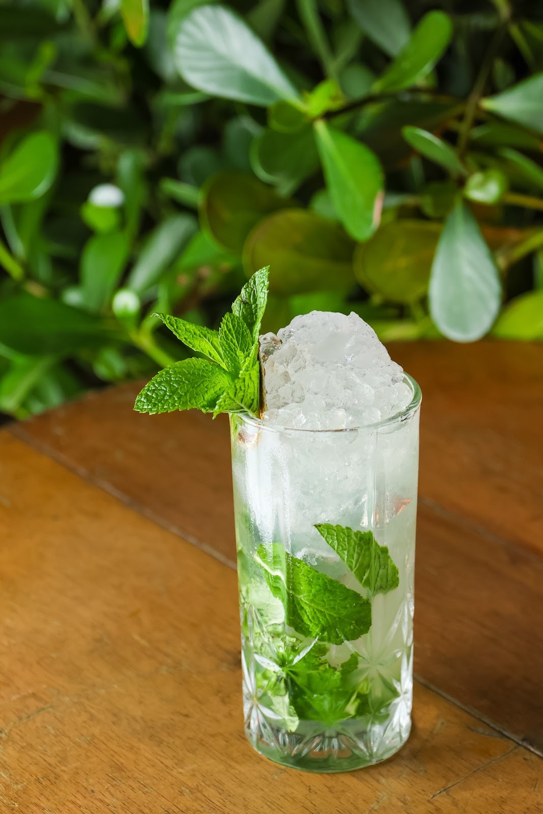 Drinks para o ver&atilde;o