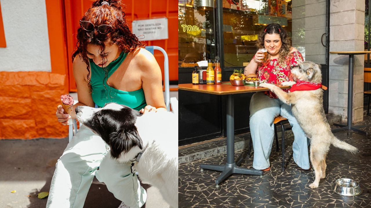 Restaurantes pet friendly em SP: 15 endereços para curtir o verão