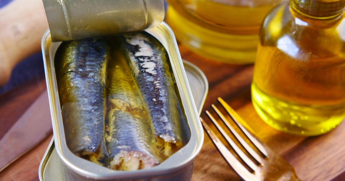 Lata de sardinhas abertas em &oacute;leo, com garfo dourado e garrafas de azeite ao fundo, sobre uma t&aacute;bua de madeira