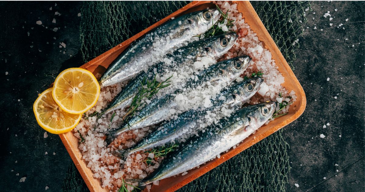 Seis peixes frescos, provavelmente sardinhas, cobertos com sal grosso e ramos de alecrim, dispostos em uma travessa de madeira clara. Duas rodelas de lim&atilde;o est&atilde;o ao lado esquerdo da travessa, sobre uma superf&iacute;cie escura que parece uma rede de pesca. A ilumina&ccedil;&atilde;o &eacute; dram&aacute;tica, com sombras profundas e pontos de luz real&ccedil;ando o sal e os peixes