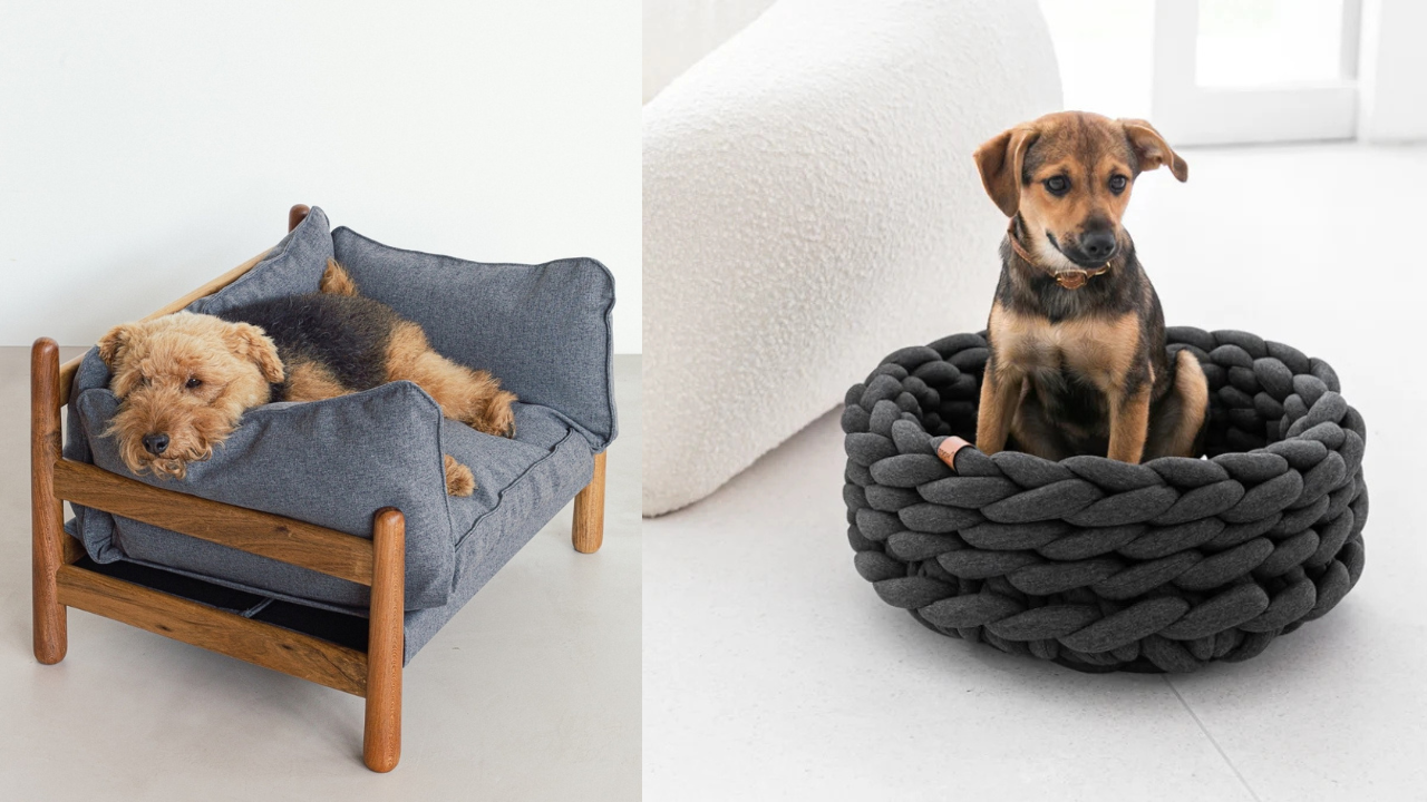 8 caminhas para cachorro que parecem objetos de design