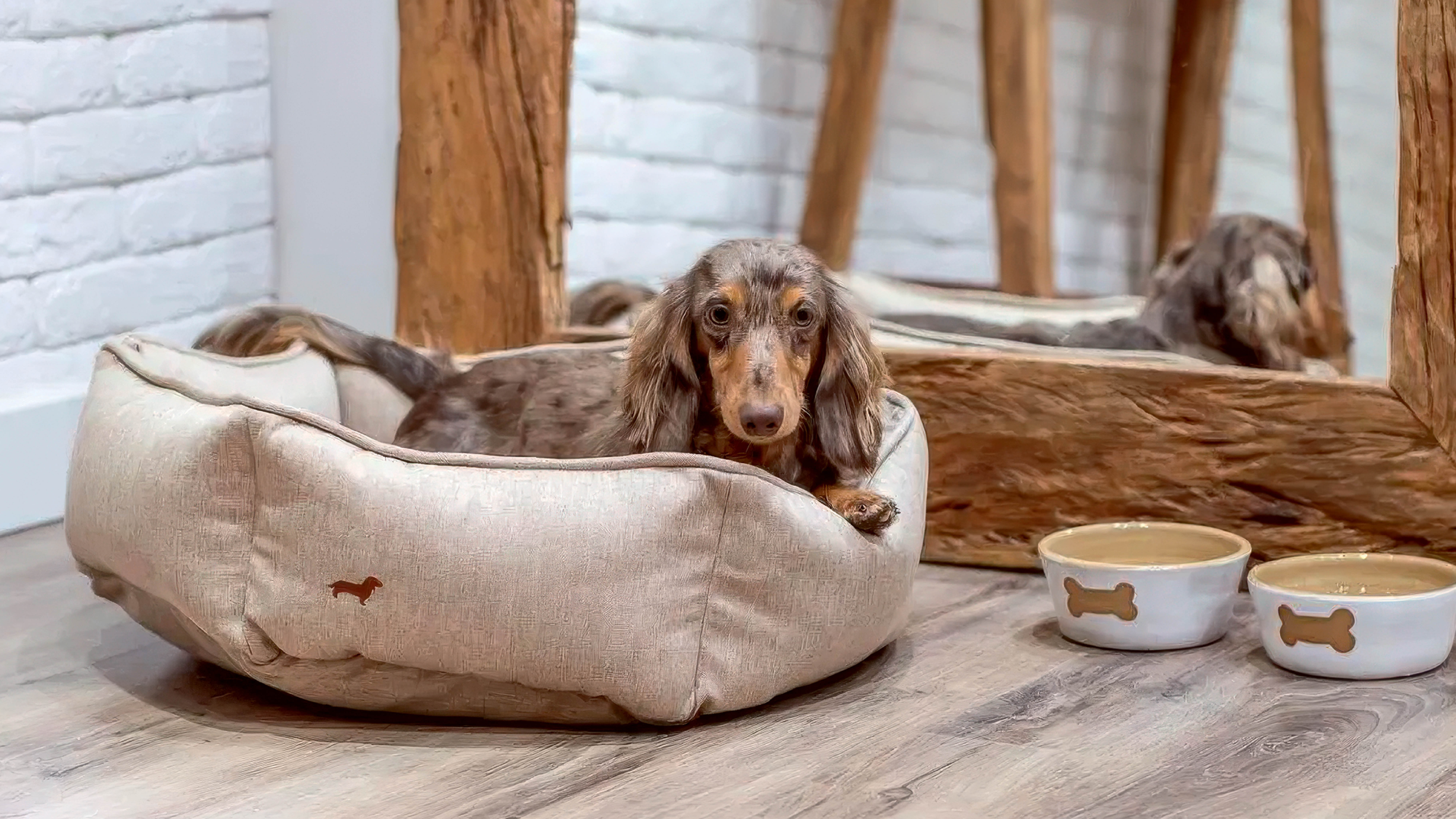 13 camas para cães e gatos tão lindas que fazem parte do décor